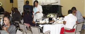 woman excel zimbabwe