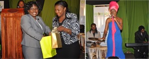 Woman Excel Conference Zimbabwe